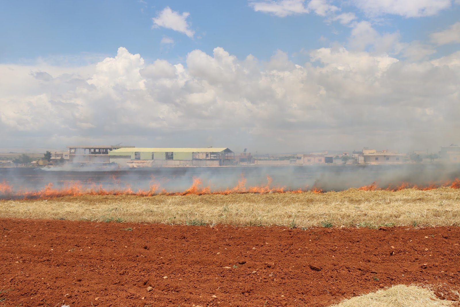 Terör örgütü PYD Suriye’nin kuzeydoğusunda tarım alanlarını yaktı